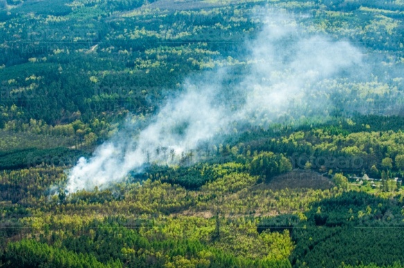 Waldbrand im Landschaftsschutzgebiet im Moritzburger Teichgebiet im Bundesland Sachsen
