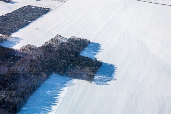 Schneedecke auf dem Feld am Waldeck im Winter