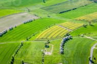 Felder und Alleen von Lichtenberg im Bundesland Sachsen