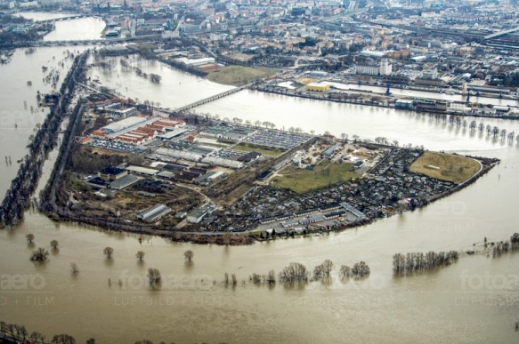 Ostragehege in Dresden im Bundesland Sachsen bei Hochwasser